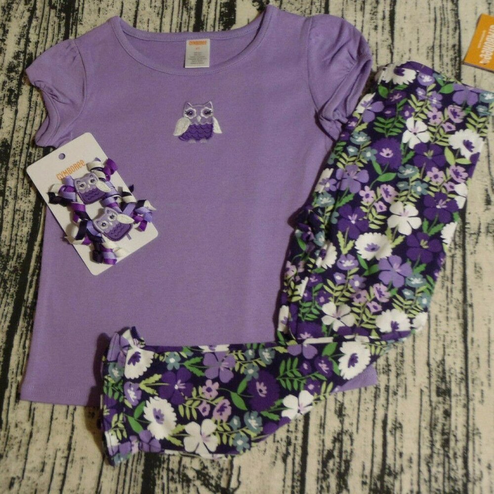Gymboree Whooo's Cute 4T Leggings Owl Shirt Hair Curly Clips Outfit NWT